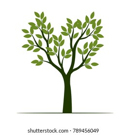 Set Green Trees with Leaves. Vector Illustration.