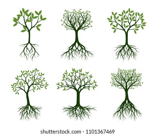Set of green Trees with naked root. Vector Illustration. Plants and garden.