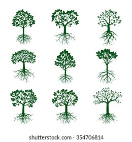 Set of Green Trees and Roots