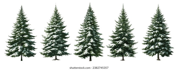 Set of green trees with snow isolated on the white background, fir tree, spruce tree, Christmas trees vector, festive poster or party invitation