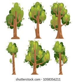 Set of green trees. Summer trees in cartoon style. Vector illustration isolated on white background. Web site page and mobile app design.