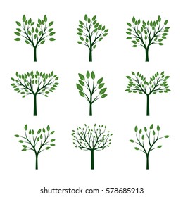 Set of Green Trees. Vector Illustration.