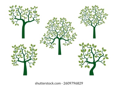 Set green Trees. Vector outline Illustration. Plant and Garden.