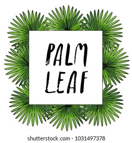 Set of green tropical leaf
