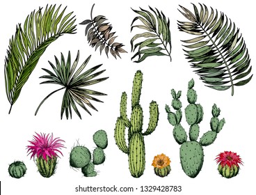 Set of green tropical leaves and cactus plants with flowers. Isolated elements for design. Hand drawn vector.