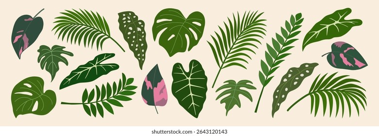 Conjunto de folhas tropicais verdes. Folhagem de plantas exóticas., alocasia, palma, filodendro, monstera. Elementos de design botânico. Ilustração de vetor desenhada à mão isolada no plano de fundo claro, estilo plano.