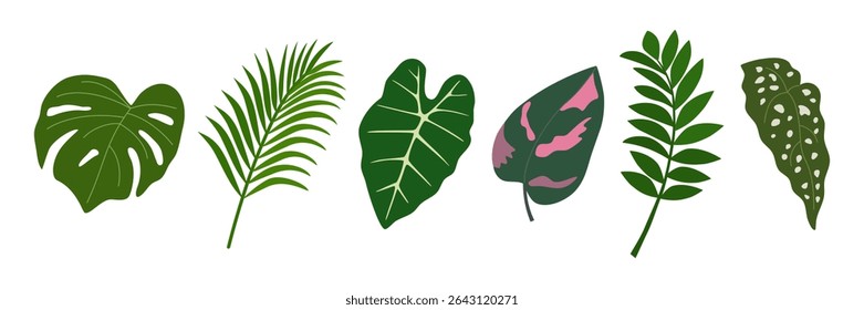Conjunto de folhas tropicais verdes. Folhagem de plantas exóticas, alocasia, palma, filodendro, monstera. Elementos de design botânico. Ilustração de vetor desenhada à mão isolada em fundo branco, estilo plano.