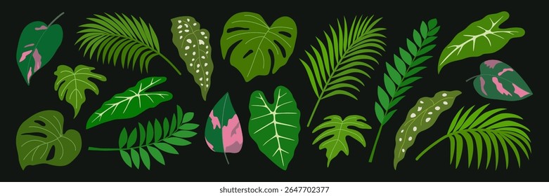 Conjunto de folhas tropicais verdes. Folhagem de plantas exóticas, alocasia, palma, filodendro, monstera. Elementos de design botânico. Ilustração de vetor desenhada à mão isolada no plano de fundo preto, estilo plano.