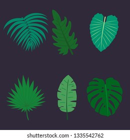 Set of green tropical leaves, palm tree branches, banana leaf, monstera in cartoon style. Vector illustration.