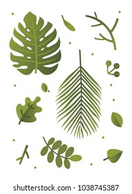 set of green tropical leaves vector illustration