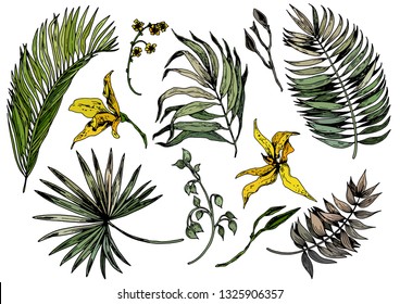 Set of green tropical leaves and yellow orchid flowers. Hand drawn vector illustration. Isolated elements for design.