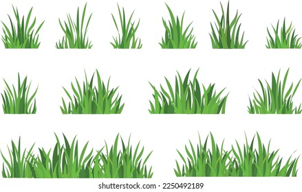 Set of green tufts grass, herbaceous plants. Design elements isolated on white background. Vector illustration.
Spring Green Grass Set.
