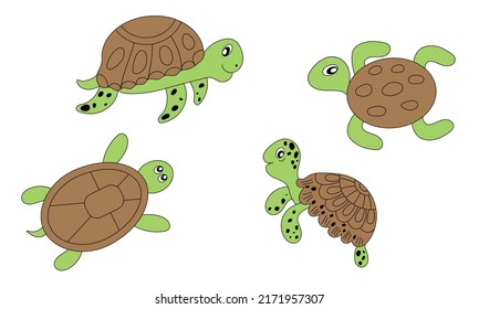 set of green turtles with brown shell