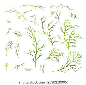 Set of green twigs. hand drawing. Not AI Vector illustration.