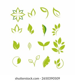 Set with green twigs. Icons on theme of natural eco products.