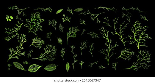 Set of green twigs on a black background. hand drawing. Not AI Vector illustration.