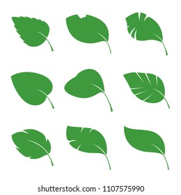 Set of green various Leaves. Vector Illustration. Vector Illustration. Plant in garden.