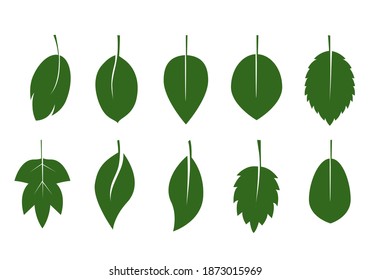Set of green various Leaves. Vector Illustration. Vector Illustration. Plant in garden.