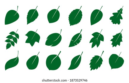 Un conjunto de hojas verdes. Icono del vector. Ilustración vectorial. Planta en el jardín.