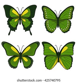 Set of green vector butterflies. Isolated objects on a white background 