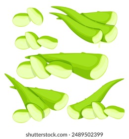 Set of green vector cut leaves and cut pieces of medicinal aloe vera succulent