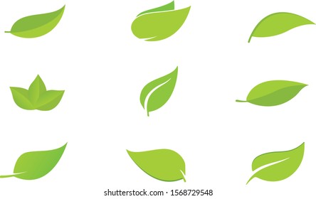 Set of Green Vector Leaves