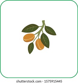 Set of green vector olive branch logo.