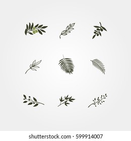 Set of green vector olive branch logos. 