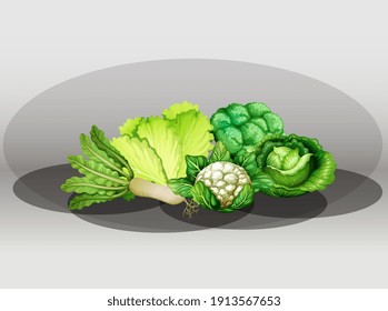 Conjunto de ilustraciones vegetales verdes