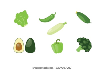 Set of green vegetables. Avocado, salad, chilli, bell pepper, cucumber, zucchini, broccoli. Vector illustration in flat style. 