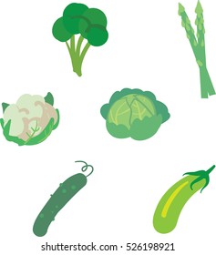 Set of green vegetables including cabbage, asparagus, zucchini, cucumber and other vegetables. Flat simple vector graphic