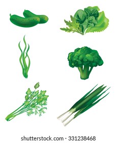 Set of green vegetables. Vector