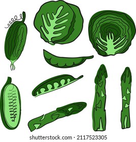 A set of green vegetables. Vector color image of asparagus, cabbage, peas, cucumber. Design for menus, stickers, labels