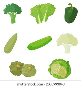 Set of green vegetables. Zucchini, broccoli, lettuce, cabbage, cauliflower, cucumber.