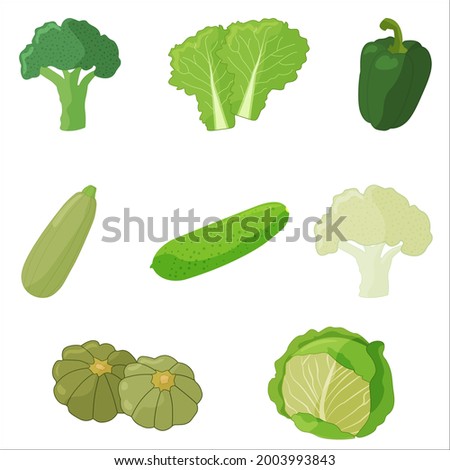 Set of green vegetables. Zucchini, broccoli, lettuce, cabbage, cauliflower, cucumber.
