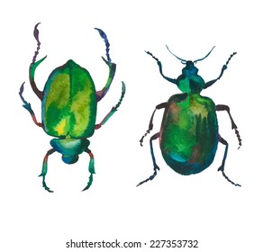 set of green watercolor beetles, traced vector image
