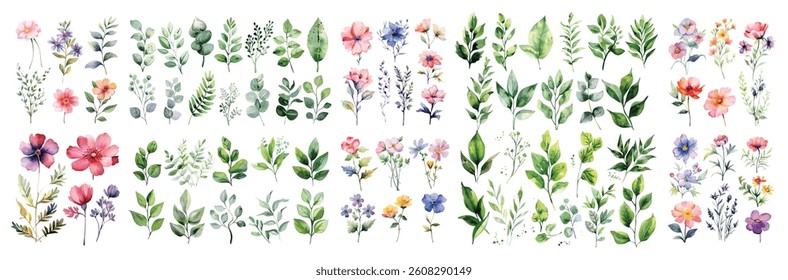 Set of green watercolor leaves and flowers on isolated background. watercolor floral package collection. Use by fabric, fashion, wedding invitation, template, romance, greeting, spring, bouquet	