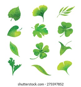 set of green watercolor leaves, hand drawn vector elements