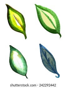 Set of green watercolor leaves isolated on white background