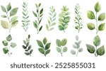 Set of green watercolor leaves on isolated background