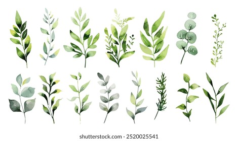 Set of green watercolor leaves on isolated background