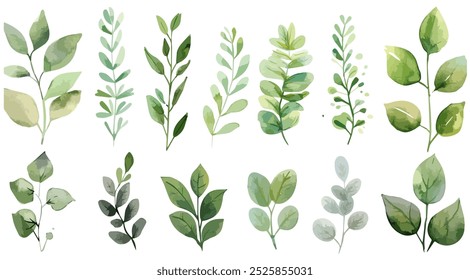 Set of green watercolor leaves on isolated background