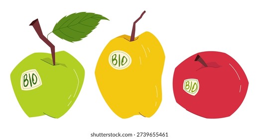 Set of green, yellow and red apples with bio labels and leaf, organic fruit collection isolated on light background, flat vector