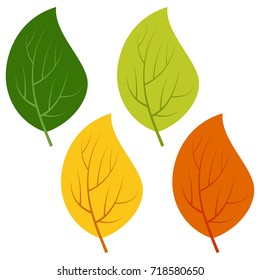 Set of green, yellow and red leaves isolated on white background. Vector illustration of autumn leaves. 