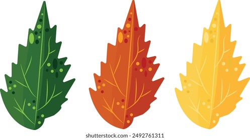 set of green yellow red linden tree leaves in abstract style, for various designs, posters or banners