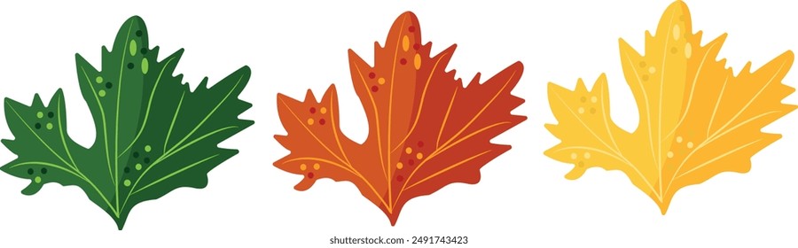 set of green yellow and red maple autumn leaves in abstract style, vector illustration