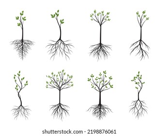 Pon árboles jóvenes verdes. Ilustración del contorno del vector. Planta y jardín.