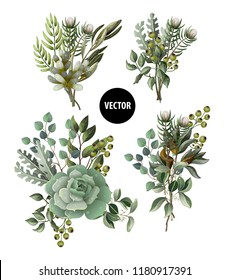 Set of greenery leaves and succulent bouquets in watercolor style. Eucalyptus, magnolia, fern and other  vector illustration.