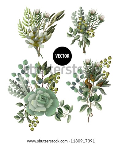 Set of greenery leaves and succulent bouquets in watercolor style. Eucalyptus, magnolia, fern and other  vector illustration.
