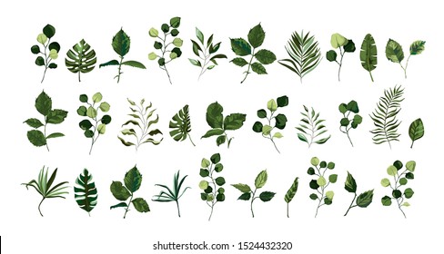 Set of greenery leaves twig branch plant eucalyptus tropical leaf spring object flora in watercolor style. Vector botanical decorative illustration for wedding invitation card